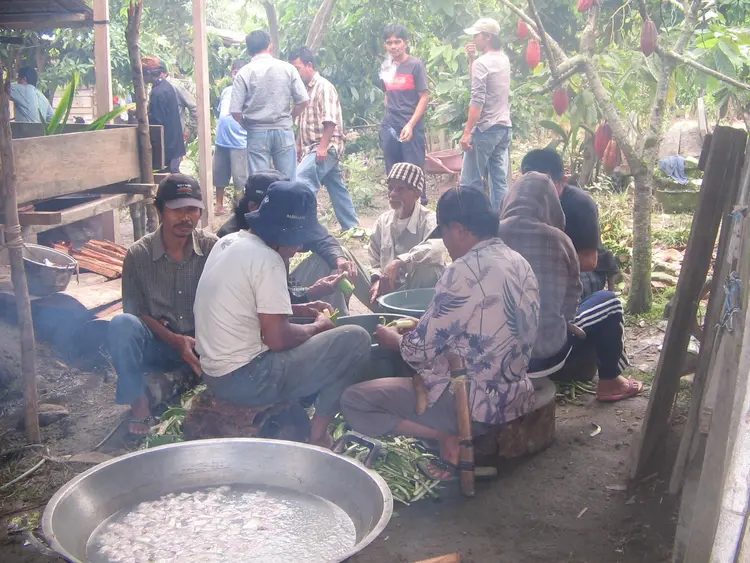 modaka halo beko/halo tampo